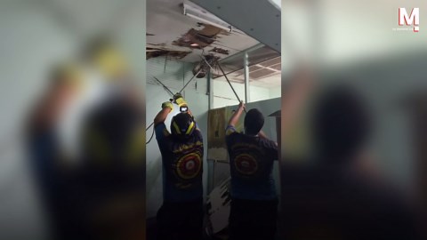 Extraschicht für Schlangenfänger: Netzpython macht es sich in Decke gemütlich