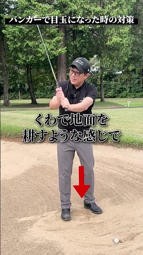 バンカーで目玉になった時の対策【DAZN×STEPGOLF】#ゴルフ #ゴルフレッスン #ゴルフ初心者 #スイング #バンカー #stepgolf #shorts