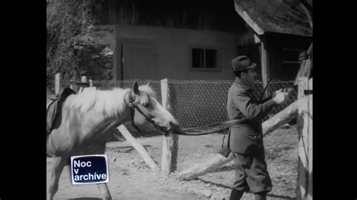 134K views · 1.7K reactions | Lesnické povolání 1969 #hbhistory...