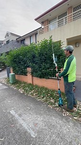 2M views · 11K reactions | Hedge trimming ✂️☺️✂️ For more watching please follow: #davidsmowingsydney #satisfying #Edge #treetrimming #beforeandafter #diy #tree #maintenance #gardening #asmr #hedgetrimmig #trim #vote #usa #uk #australia #sydney #smallbusiness #explore #videos #viralvideos #greenery #greenenergy #Battery | David's Mowing Sydney NSW | Facebook