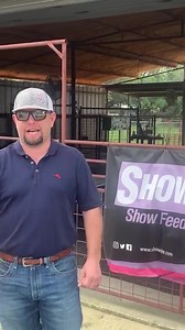 9.7K views · 86 reactions |...