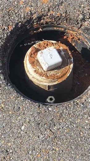 Sewer problems #bluecollar #plumbing #plumber #sewer #drainage #clogged #wastewater