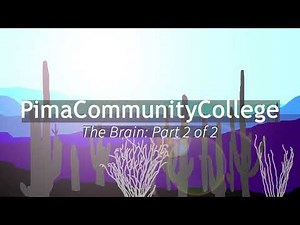 BIO 201: The Brain: Part 2 of 2