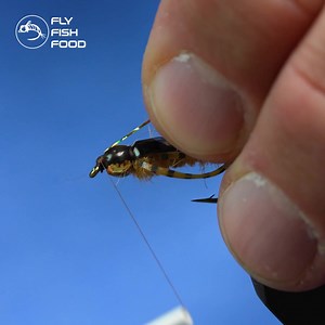 2.2K views · 1.4K reactions | Find everything you need for fly tying in 1 stop ✔️Thread ✔️Wire ✔️Hooks ✔️Beads ✔️Whiting Capes ✔️Everything else for dry flies, nymphs, streamers that you need! | Fly Fish Food | Facebook