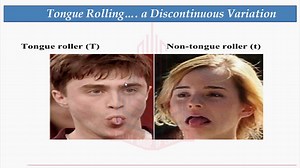 Environmental Influence on Traits