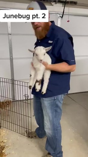 Junebug Throws a Fit Pt 2 on the Farm