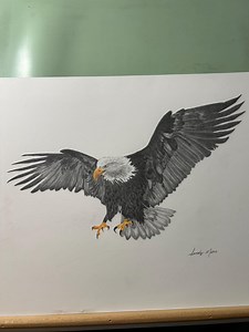 Bald Eagle Illustration: Hand-drawn Graphite & Colored Pencil Art (14"x11") - Etsy