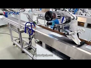 Automatic Soft Bag Labeling Machine With Suction Cup Bag Feeder