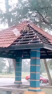 3.2K views · 20 reactions | Moving Train Tv on Reels | Facebook