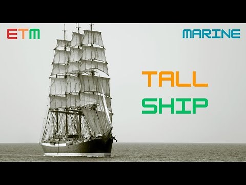 Tall Ships - The Timeless Engineering Behind Maritime Majesty and Modern Innovation