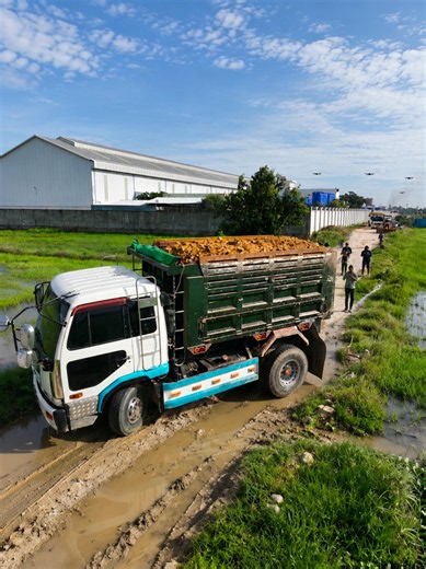 D31 Dozer Skillfully Loads Soil into Thick Grass with 5-Ton Truck