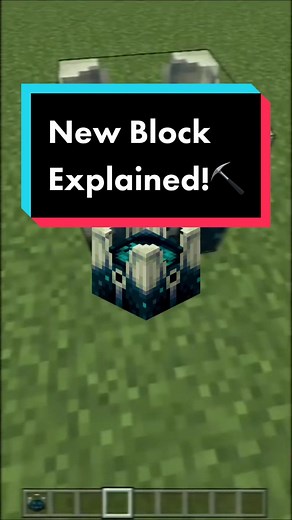 Exploring Black Blocks in Minecraft