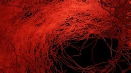 A detailed 4K scientific animation showcasing human cells under a...