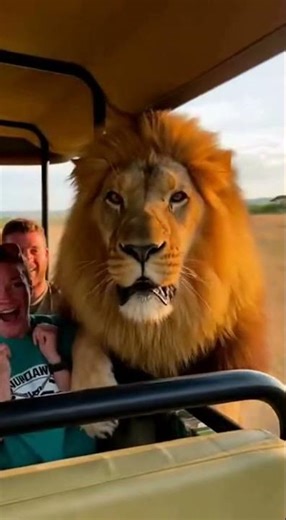 This “Lion” Is Actually a Dog! Funniest Prank Ever! #DogPrank #AnimalComedy