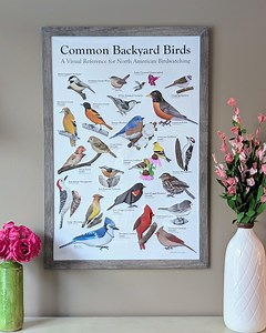 Backyard Birds Identification Chart | DIGITAL FILE | Printable Bird Watching Poster | North American Birds Wall Art | Ornithology Decor - Etsy UK