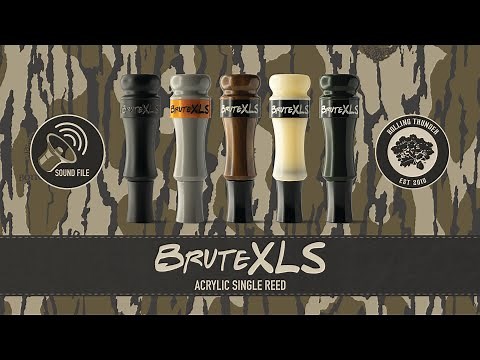 BruteXLS Single Reed Acrylic Cutdown Sound File