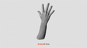 Arm - 3D model by Artec 3D