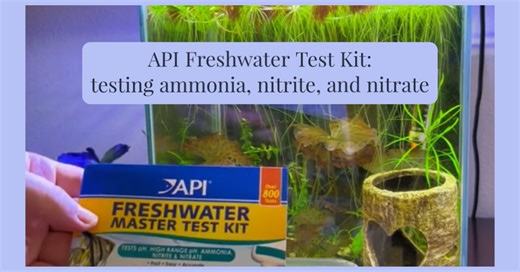 Watch API Test Kit for Aquarium Water, ammonia nitrite nitrate on Amazon Live