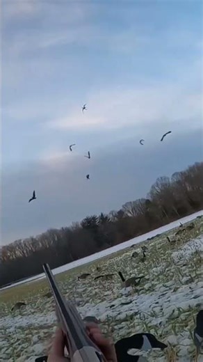 NJ Goose Hunting (6-Man Limit)￼
