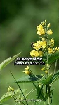 The Power of Accepting Transience