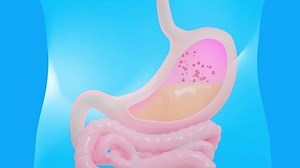 Stomach Acid Reflux Disease Animation Seamless Stock Footage Video (100% Royalty-free) 3831872421 | Shutterstock