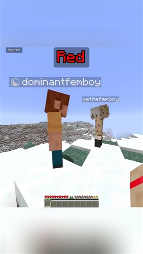 Minecraft Find The Random Color Challenge