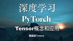 PyTorch精讲版 03 tensor的基本概念和应用