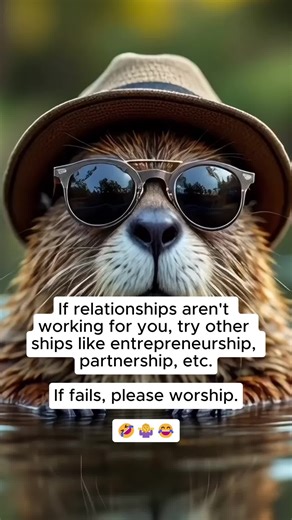 Beaver Dude on TikTok