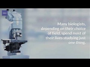 Biologist | What Does A Biologist Do? | How To Become A Biologist | CareerExplorer