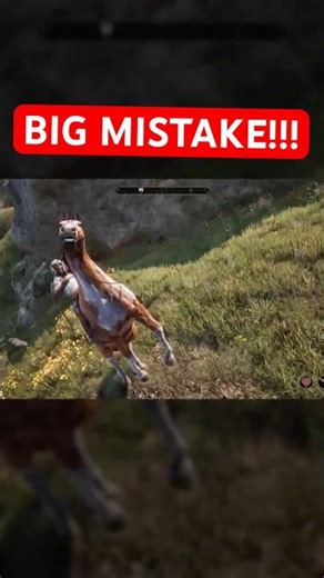 Why You Shouldn't Buy Horses Off Temu!