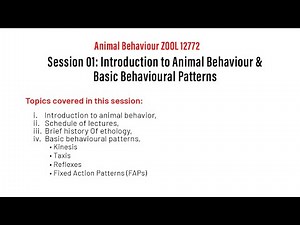 Animal Behaviour and basic Behavioural Patterns Explained | Key Concepts in Zoology and Biology