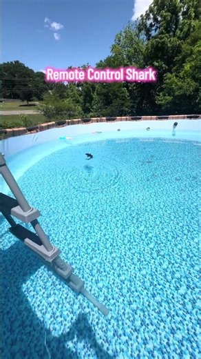 Remote Control Shark Toy – Realistic RC Shark for Pools, Bath & Water Play