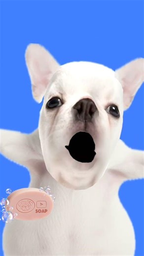 ٢١ مارس ٢٠٢٦