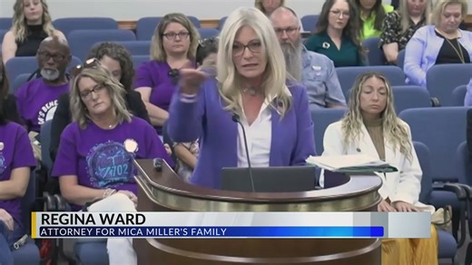 'Unforgivable': Mica Miller’s sister chides South Carolina lawmakers for delaying coercive control bill