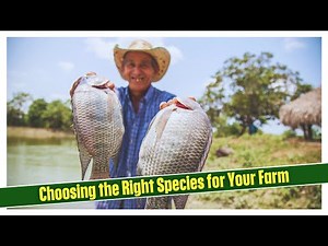 Top 5 Popular Fish Species for Farming Success