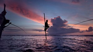 Mesmerizing 4K Trailer for Doc 'Awaken' Produced by Terrence Malick | FirstShowing.net