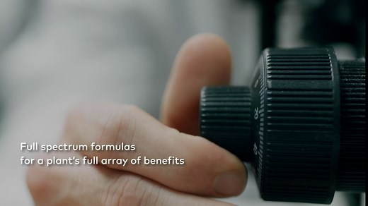 Gaia Herbs Green Tea - Helps Maintain Healthy Weight and Energy Levels* - with Organic Green Tea Leaf and Extract - 60 Vegan Liquid Phyto-Capsules (15-Day Supply)