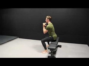 DB Goblet Box Squat