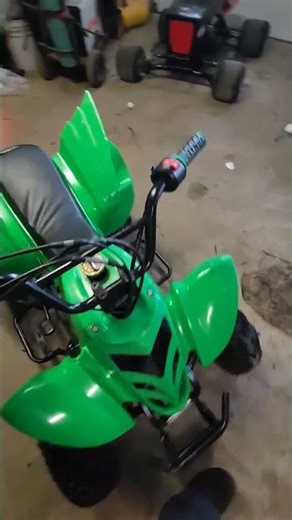 Taotao 110b Chinese atv