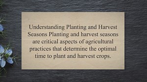 Understanding Planting and Harvest Seasons