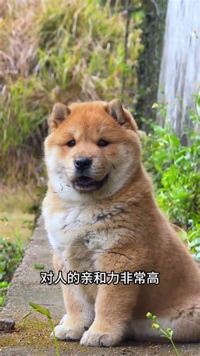 Homebody Hero: Protecting His Haven