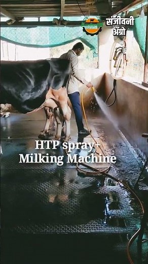 cow washing HTP sprayer and Milking Machine 36500 rs ( 3 hp ) 8408805661 #dairyfarm