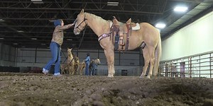 Horse group the “Blondes” help start off rodeo