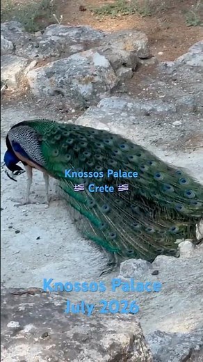 Knossos Palace, #crete in July 2026 #travel #greece