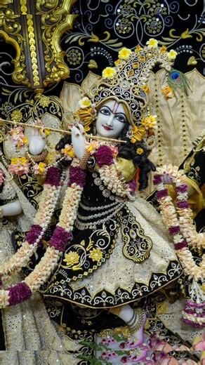 tere bhajanon mein main Ram Java 🙏❤️#bhajan #love #shyamjibhakti #radheshyam #devotional