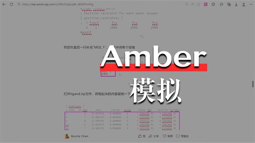 使用Amber力场（ff14sb gaff）进行蛋白-配体复合物分子动力学模拟