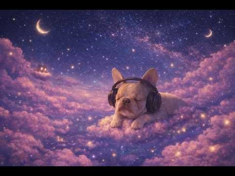[Playlist] 逃往一個只有我們兩人的星球 🪐 Another Slow World｜Lo‑fi Dream Pop｜漂浮在慢世界的浪漫星空｜vol.2 | SLOWVERSE