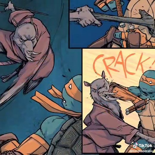 Mikey vs. Splinter: A Teenage Mutant Ninja Turtles Showdown