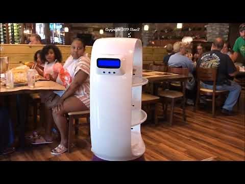 Visit to Robot Captain Crab Restaurant Newark, Delaware (with Robots)