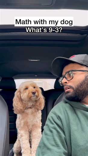 Luna The Mini Cockapoo on Instagram: "Our most viewed video of all time 😳 #dogs #puppylove #minicockapoo"